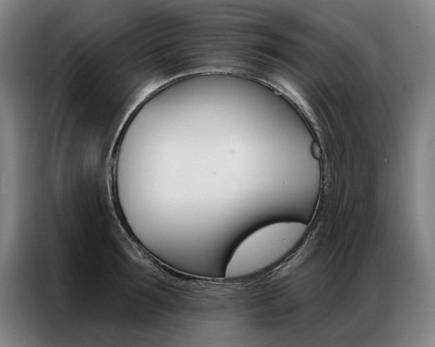 X0000087350899200704200802