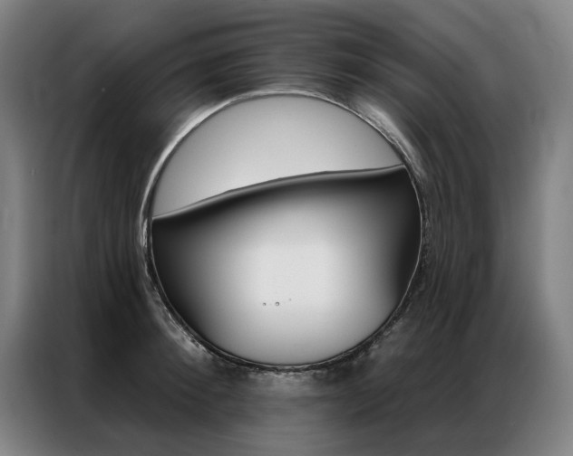 X0000087350900200704200802
