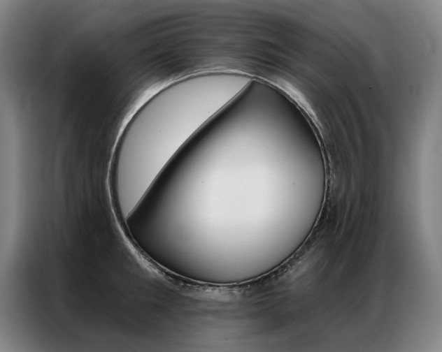 X0000087350901200704200802