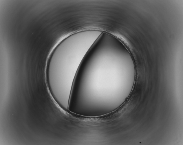 X0000087350902200704200802