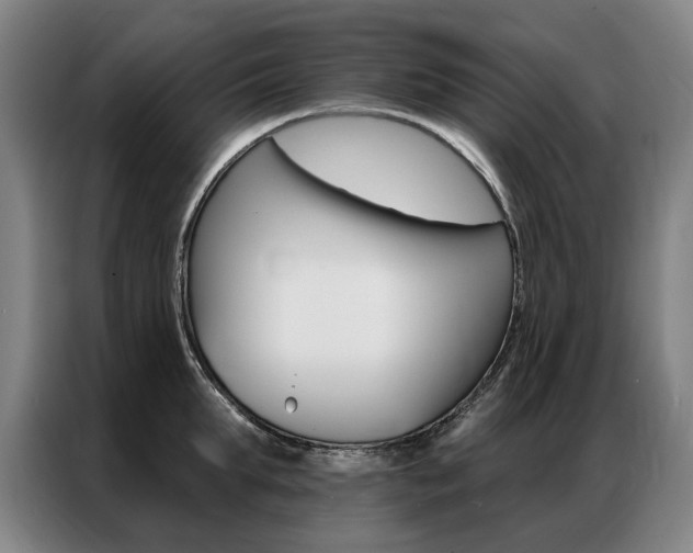 X0000087350903200704200802