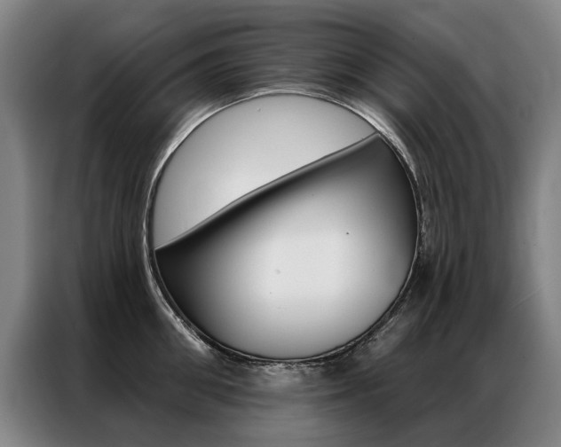 X0000087350906200704200802