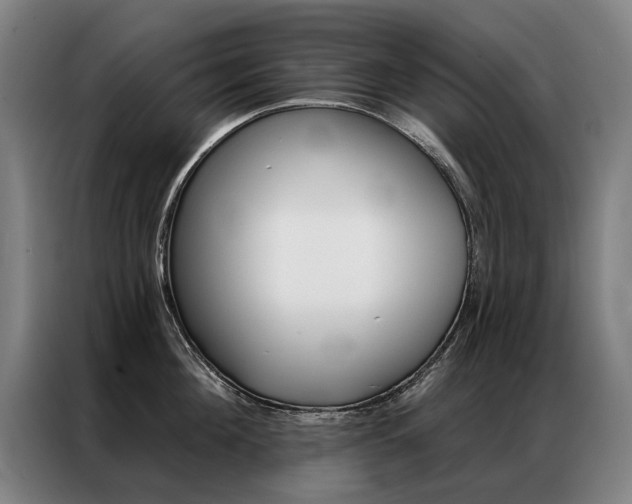 X0000087350908200704200802