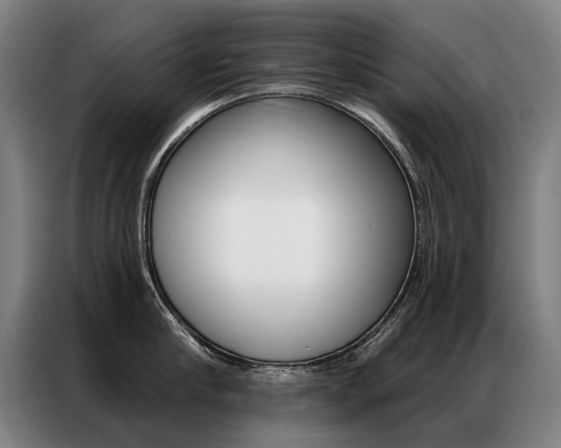 X0000087350910200704200802