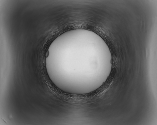 X0000087350913200704200801