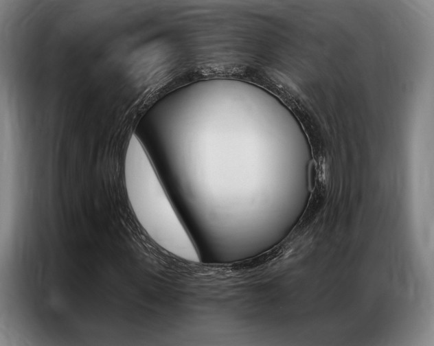 X0000087350915200704200801