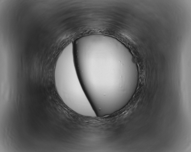 X0000087350917200704200801