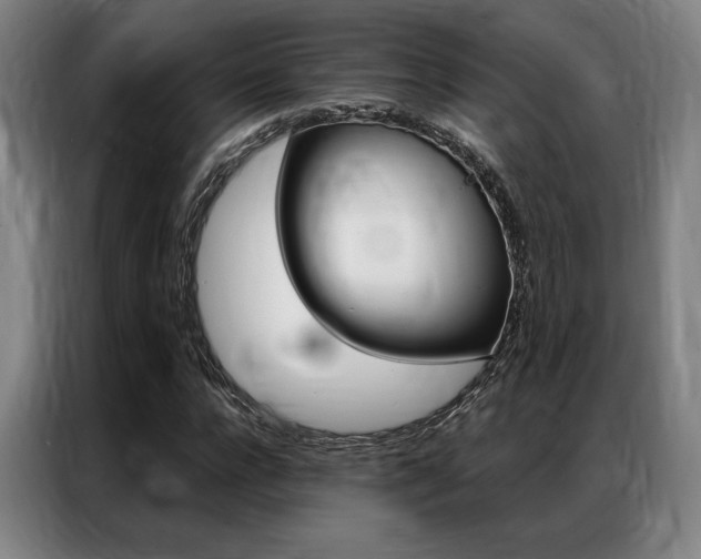 X0000087350920200704200801