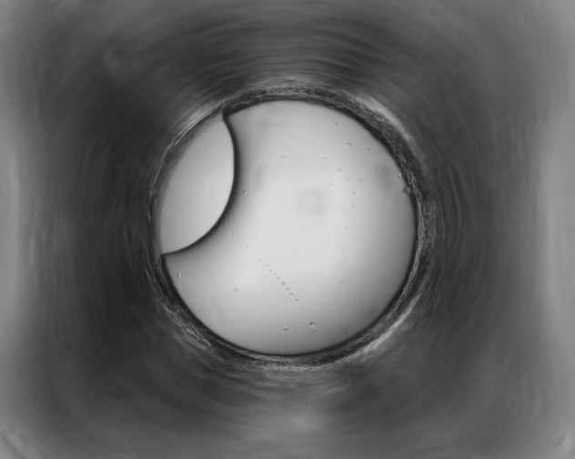 X0000087350921200704200801