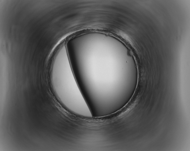 X0000087350923200704200801