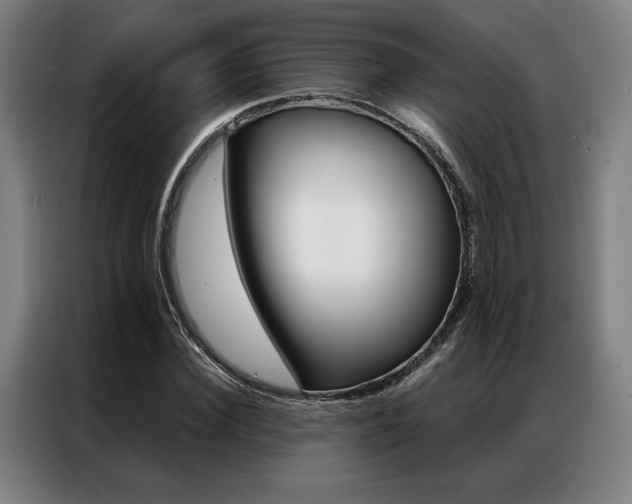 X0000087350924200704200801