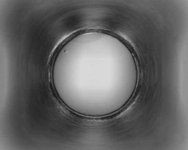 X0000087350925200704200801
