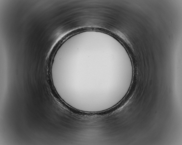 X0000087350926200704200801