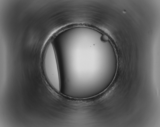 X0000087350927200704200801