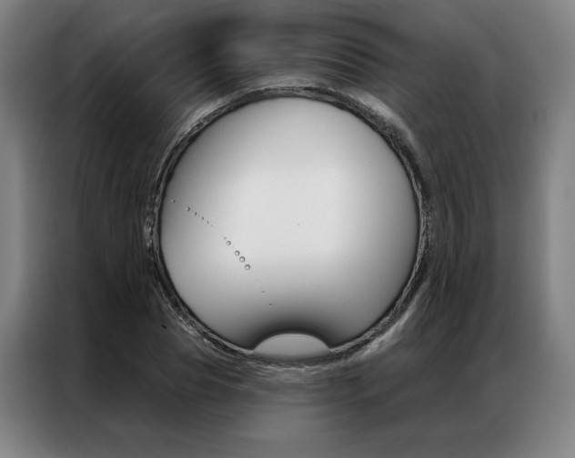 X0000087350929200704200801