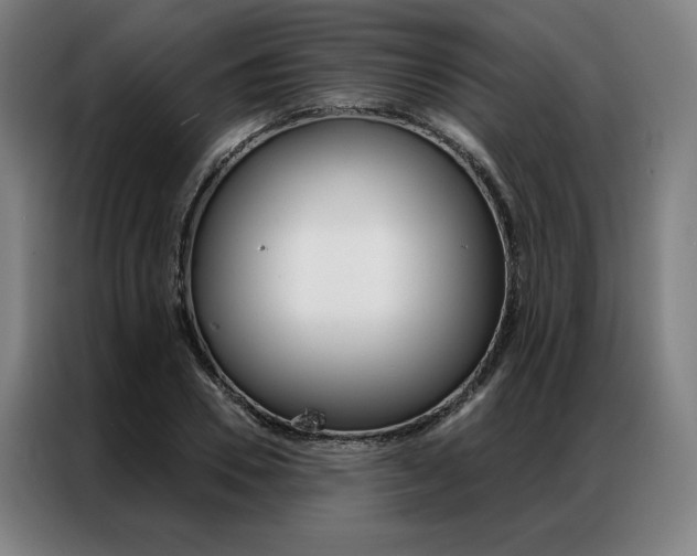 X0000087350930200704200801