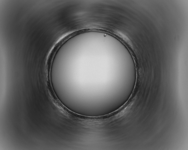X0000087350931200704200801
