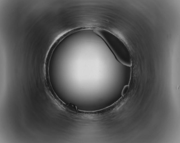 X0000087350932200704200801