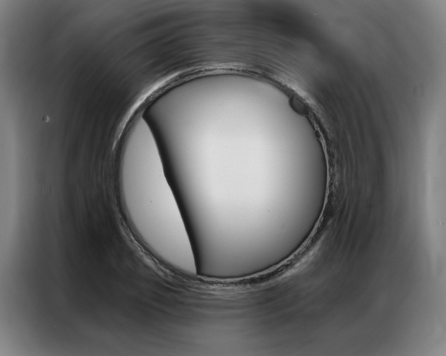 X0000087350933200704200801