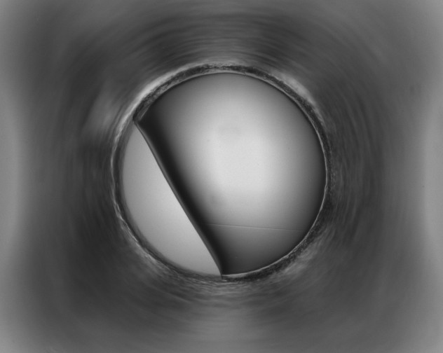X0000087350935200704200801