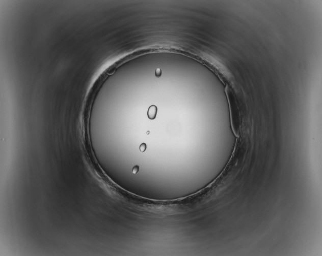X0000087350936200704200801