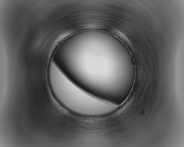 X0000087350938200704200801