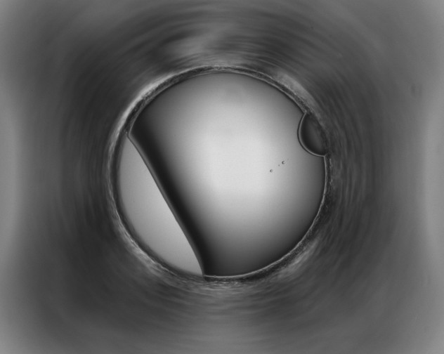 X0000087350939200704200801