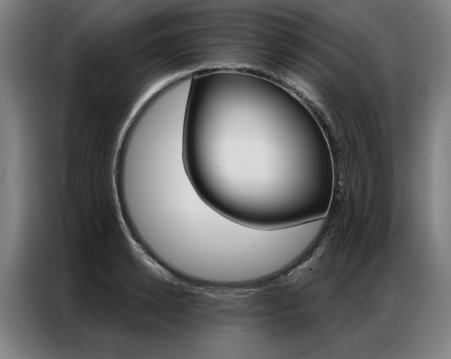 X0000087350942200704200801
