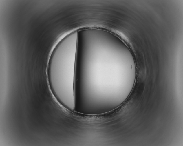 X0000087350943200704200801