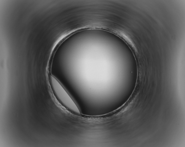 X0000087350944200704200801