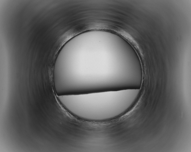 X0000087350945200704200801