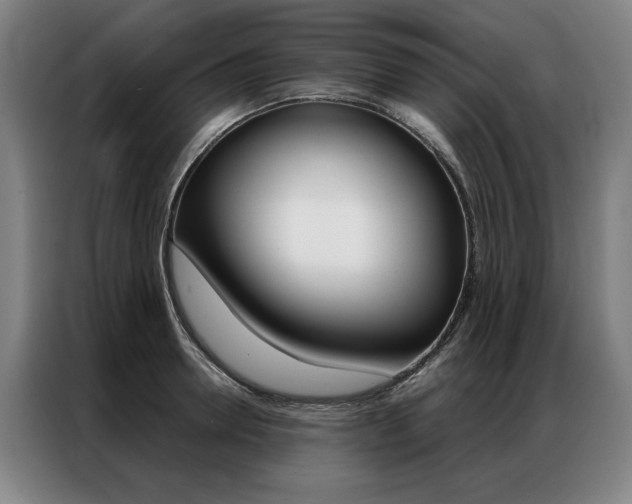 X0000087350946200704200801