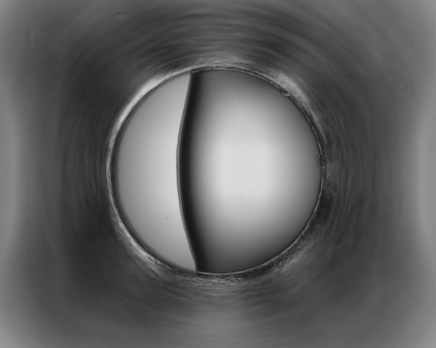 X0000087350947200704200801