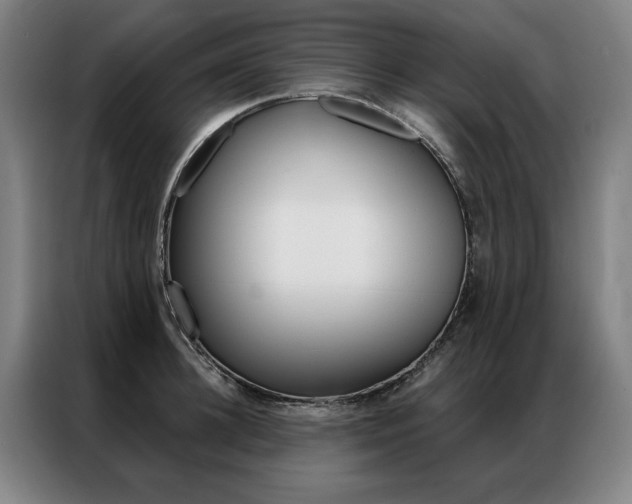 X0000087350948200704200801
