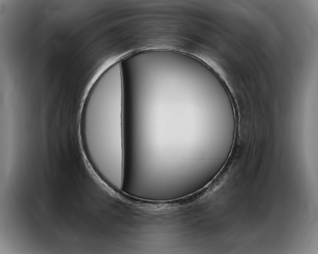 X0000087350949200704200801