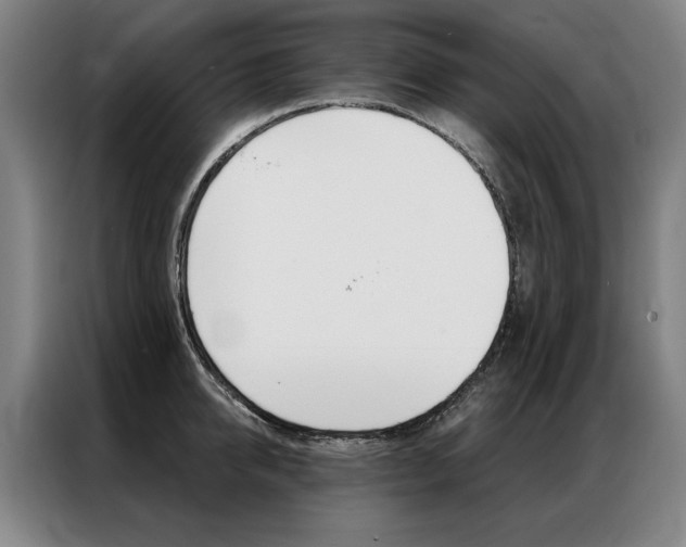 X0000087350950200704200801