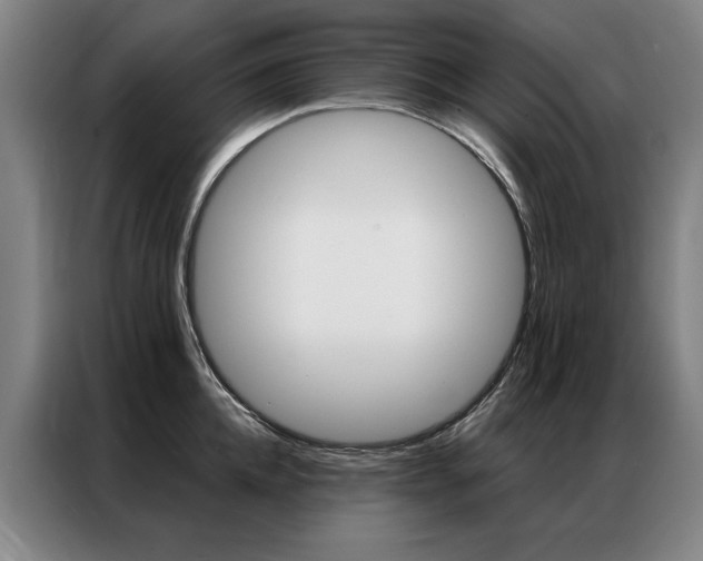 X0000087350952200704200801
