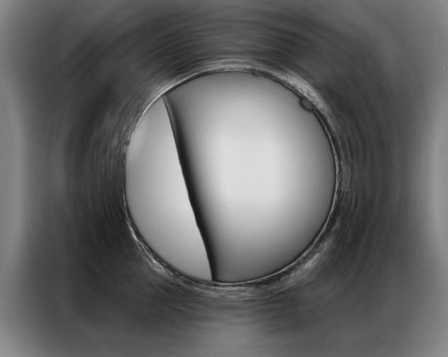 X0000087350953200704200801