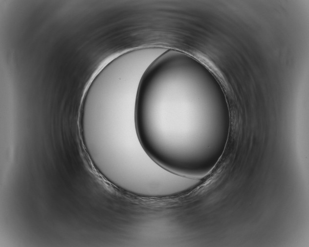 X0000087350956200704200801