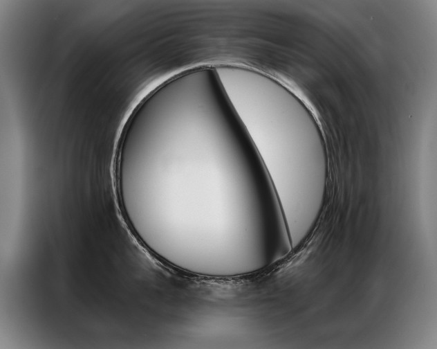 X0000087350959200704200802