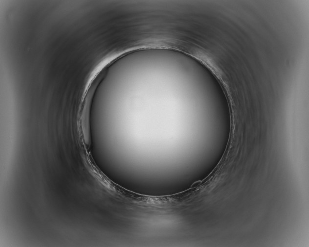 X0000087350960200704200802
