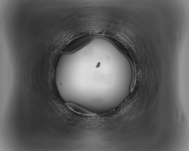 X0000087350961200704200801