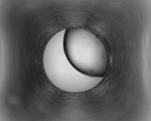 X0000087350963200704200801