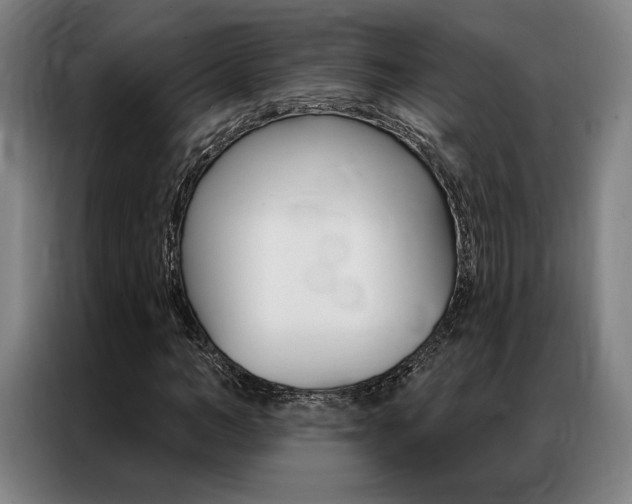 X0000087350966200704200801