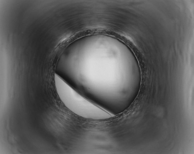 X0000087350967200704200801