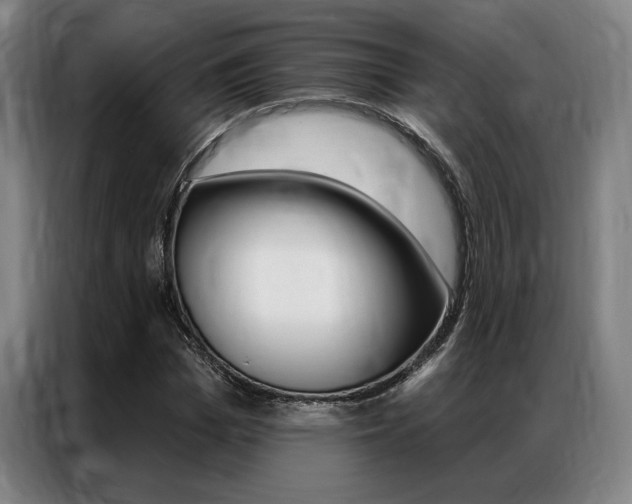 X0000087350969200704200801