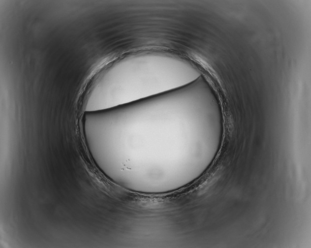 X0000087350970200704200801