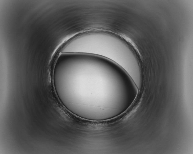 X0000087350973200704200801