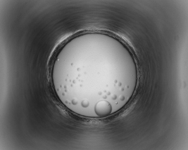 X0000087350974200704200801