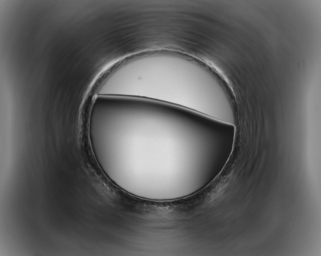 X0000087350975200704200801